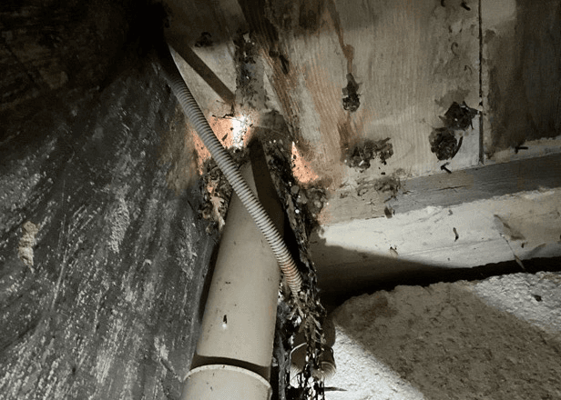 Travaux à prévoir