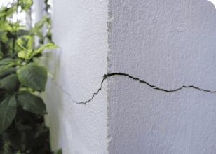 Fissures